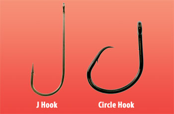 https://www.fishingoutlet.com.au/wp-content/uploads/2023/02/circlehooks-vs-j-hooks-1.jpg